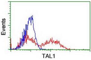 HEK293T cells transfected with either RC222628 overexpress plasmid (Red) or empty vector control plasmid (Blue) were immunostained by anti-TAL1 antibody (ABIN2455288), and then analyzed by flow cytometry. (TAL1 抗体)