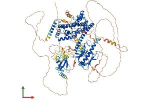 Protein Structure (PS) image for Pleckstrin Homology Domain Containing, Family G (With RhoGef Domain) Member 5 (PLEKHG5) (AA 1-1073) protein (His tag) (ABIN7563997)