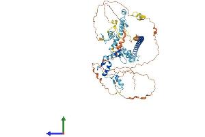 Protein Structure (PS) image for Zinc Finger Protein 398 (ZNF398) (AA 1-642) protein (His tag) (ABIN7545322)