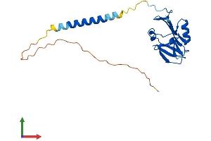 Protein Structure (PS) image for Killer Cell Lectin-Like Receptor Subfamily K, Member 1 (KLRK1) (AA 1-216) protein (His tag) (ABIN7554719)