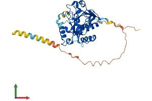 Protein Structure (PS) image for ST6 (Alpha-N-Acetyl-Neuraminyl-2,3-beta-Galactosyl-1,3)-N-Acetylgalactosaminide alpha-2,6-Sialyltransferase 5 (ST6GALNAC5) (AA 1-336) protein (His tag) (ABIN7561794)