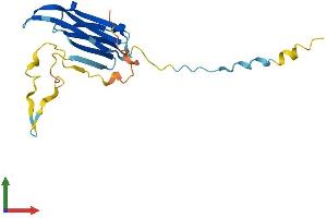 Protein Structure (PS) image for Heat Shock 27kDa Protein 2 (HSPB2) (AA 1-182) protein (His tag) (ABIN7548450)