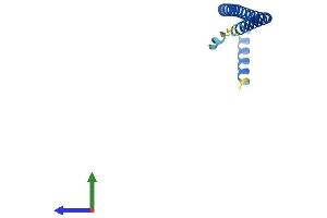 Protein Structure (PS) image for MEF2B Neighbor (MEF2BNB) (AA 1-119) protein (His tag) (ABIN7549368)