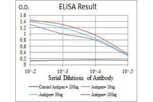 Black line: Control Antigen (100 ng), Purple line: Antigen(10 ng), Blue line: Antigen (50 ng), Red line: Antigen (100 ng), (LHCGR 抗体)