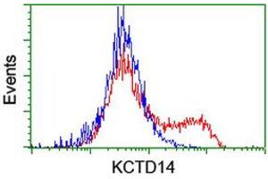 Flow Cytometry (FACS) image for anti-Potassium Channel Tetramerisation Domain Containing 14 (KCTD14) antibody (ABIN1499009) (KCTD14 抗体)