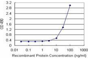 Sandwich ELISA detection sensitivity ranging from 3 ng/mL to 100 ng/mL. (NOP16 (人) Matched Antibody Pair)