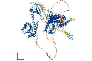 Protein Structure (PS) image for phosphodiesterase 8A (PDE8A) (AA 1-823) protein (His tag) (ABIN7562614)