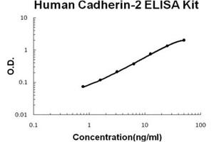 Human Cadherin-2/N-Cadherin Accusignal ELISA Kit Human Cadherin-2/N-Cadherin AccuSignal ELISA Kit standard curve. (N-Cadherin ELISA 试剂盒)