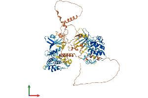 AlphaFold protein structure predicition of Mouse Recombinant Rps6ka5 Protein, UniprotID Q8C050