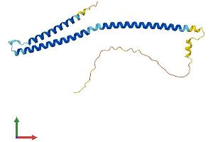 AlphaFold protein structure predicition of Human Recombinant MED22 Protein, UniprotID Q15528