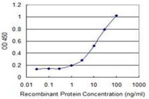 anti-DnaJ (Hsp40) Homolog, Subfamily B, Member 4 (DNAJB4) (AA 1-337) antibody