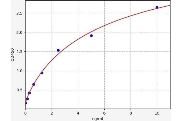 REG1 ELISA 试剂盒