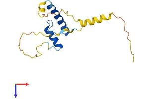 Id2 Protein (AA 1-134) (His tag)