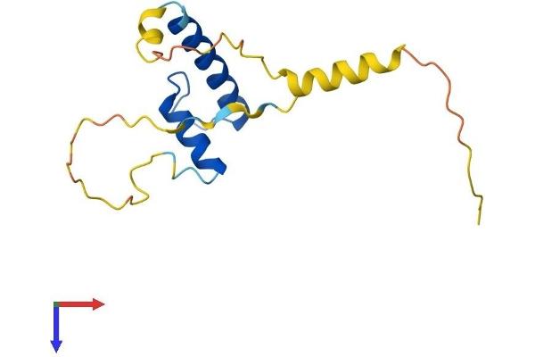 Id2 Protein (AA 1-134) (His tag)