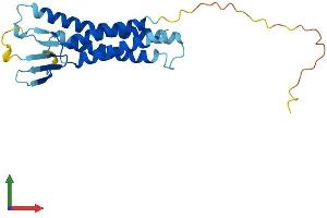 Protein Structure (PS) image for Claudin 3 (CLDN3) (AA 1-220) protein (His tag) (ABIN7546532)
