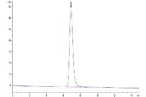 Size-exclusion chromatography-High Pressure Liquid Chromatography (SEC-HPLC) image for Tumor Necrosis Factor (Ligand) Superfamily, Member 18 (TNFSF18) (AA 72-199) protein (His tag) (ABIN7274678)