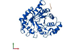 AlphaFold protein structure predicition of Human Recombinant AKR1C1 Protein, UniprotID Q04828