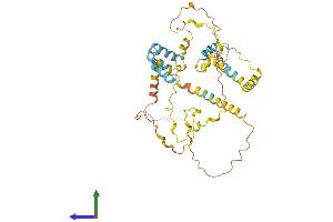 AlphaFold protein structure predicition of Human Recombinant FAM47DP Protein, UniprotID A6NHR8