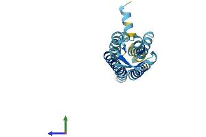 AlphaFold protein structure predicition of Human Recombinant GJE1 Protein, UniprotID A6NN92