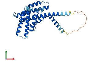 Protein Structure (PS) image for Peroxisomal Biogenesis Factor 11 beta (PEX11B) (AA 1-259) protein (His tag) (ABIN7551166)