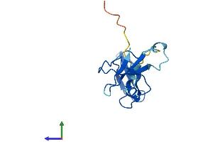 Protein Structure (PS) image for Polymerase (RNA) II (DNA Directed) Polypeptide I, 14.5kDa (POLR2I) (AA 1-125) protein (His tag) (ABIN7551543)
