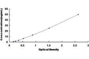 Typical standard curve (CELSR2 ELISA 试剂盒)