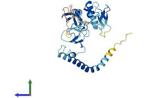 Protein Structure (PS) image for Ring Finger Protein 144A (RNF144A) (AA 1-292) protein (His tag) (ABIN7551201)