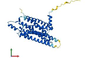 AlphaFold protein structure predicition of Mouse Recombinant Adora1 Protein, UniprotID Q60612