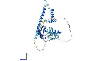 Protein Structure (PS) image for NudC Domain Containing 3 (NUDCD3) (AA 1-363) protein (His tag) (ABIN7559676)
