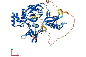 Protein Structure (PS) image for Sorting Nexin 17 (SNX17) (AA 1-470) protein (His tag) (ABIN7558932)