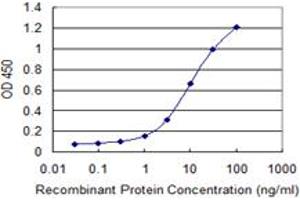 Detection limit for recombinant GST tagged EDEM1 is 0. (EDEM1 抗体  (AA 559-656))