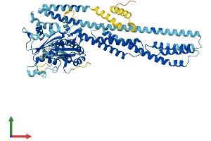Protein Structure (PS) image for Guanylate Binding Protein 7 (GBP7) (AA 1-638) protein (His tag) (ABIN7547930)