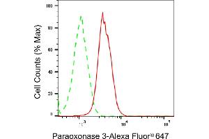 anti-Paraoxonase 3 (PON3) antibody