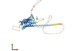 AlphaFold protein structure predicition of Human Recombinant GPR101 Protein, UniprotID Q96P66