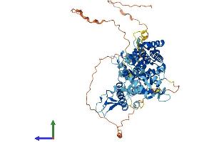 Protein Structure (PS) image for RAS Guanyl Releasing Protein 4 (RASGRP4) (AA 1-673) protein (His tag) (ABIN7548102)
