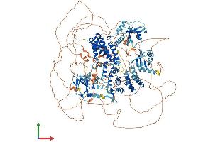 Protein Structure (PS) image for Rap Guanine Nucleotide Exchange Factor (GEF) 2 (RAPGEF2) (AA 1-1496) protein (His tag) (ABIN7564584)