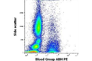 Flow cytometry surface staining pattern of human peripheral whole blood stained using anti-human Blood Group ABH (HE-10) PE antibody (concentration in sample 5 μg/mL). (Blood Group ABH 抗体  (PE))