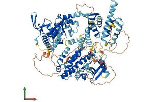 Protein Structure (PS) image for Rap Guanine Nucleotide Exchange Factor (GEF) 3 (RAPGEF3) (AA 1-918) protein (His tag) (ABIN7564727)