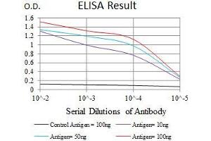 Black line: Control Antigen (100 ng), Purple line: Antigen(10 ng), Blue line: Antigen (50 ng), Red line: Antigen (100 ng), (DKK3 抗体  (AA 91-350))