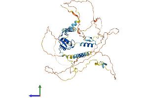 AlphaFold protein structure predicition of Human Recombinant RNF220 Protein, UniprotID Q5VTB9