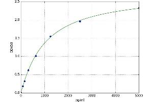 Secretory Carrier Membrane Protein 1 (SCAMP1) ELISA Kit