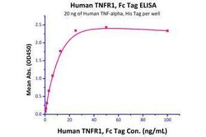 Immobilized Human TNF-alpha, His Tag (Cat# TNA-H5228) at 0. (TNF alpha Protein (AA 77-233) (His tag))