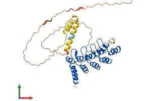 Protein Structure (PS) image for Ankyrin Repeat, Family A (RFXANK-Like), 2 (ANKRA2) (AA 1-312) protein (His tag) (ABIN7560455)