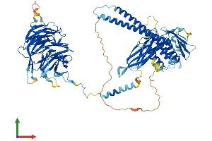 Protein Structure (PS) image for Bardet-Biedl Syndrome 9 (BBS9) (AA 1-885) protein (His tag) (ABIN7564316)