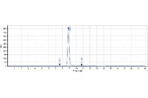 The purity of Anti-GUCY2C Reference Antibody (indusatumab) is 98. (Recombinant GUCY2C (Indusatumab Biosimilar) 抗体)