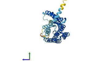 Protein Structure (PS) image for Olfactory Receptor, Family 11, Subfamily A, Member 1 (OR11A1) (AA 1-315) protein (His tag) (ABIN7550009)