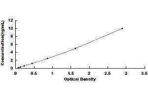 Typical standard curve (LDHB ELISA 试剂盒)