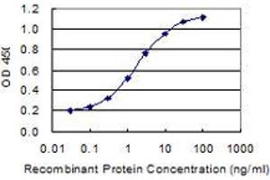Detection limit for recombinant GST tagged LRGUK is 0. (LRGUK 抗体  (AA 721-825))