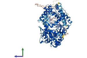 AlphaFold protein structure predicition of Human Recombinant ECEL1 Protein, UniprotID O95672