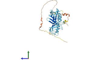 AlphaFold protein structure predicition of Human Recombinant UBFD1 Protein, UniprotID O14562